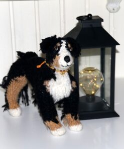 Berner sennenhund