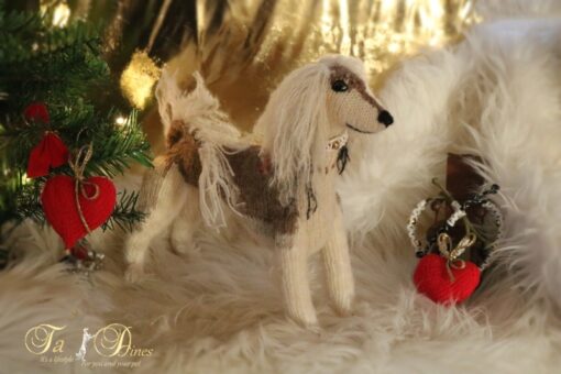 Saluki - Image 3