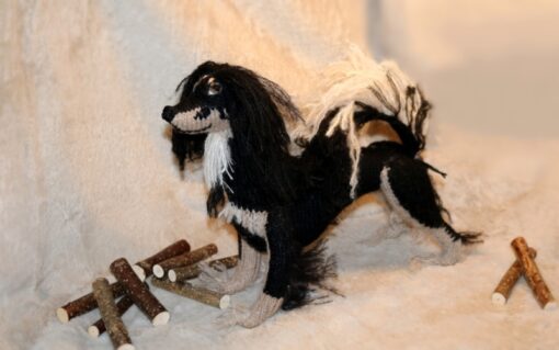 Saluki - Image 6