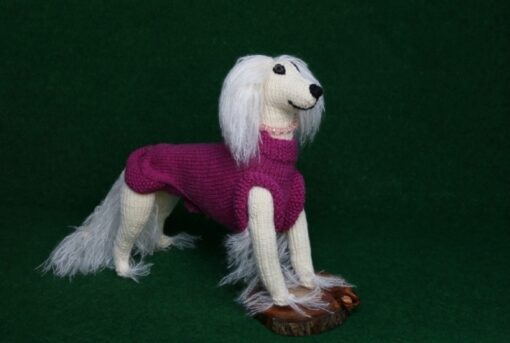 Saluki