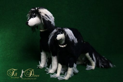 Saluki - Image 4
