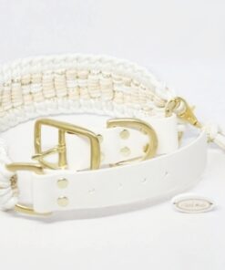 Alternative view of French Elegance